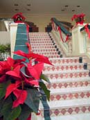 Mariott Beach Resort 5 *