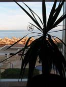 Sheraton hotel 5*